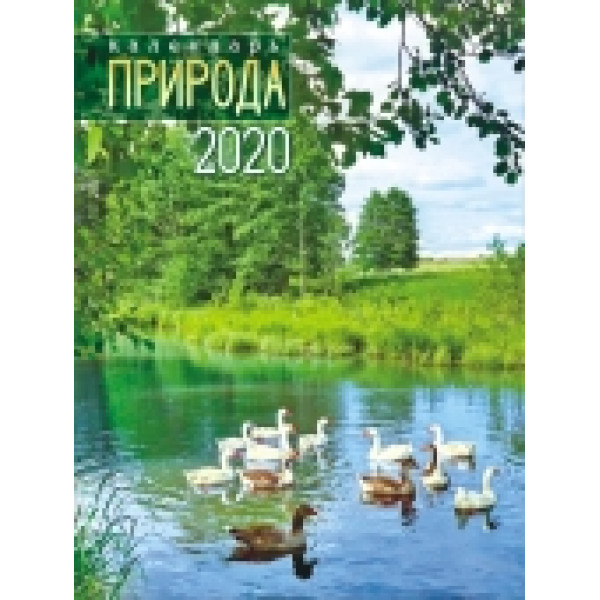 Календари-магнит отрывной 12л 2025г. 95*125 (КМО) в ассорт