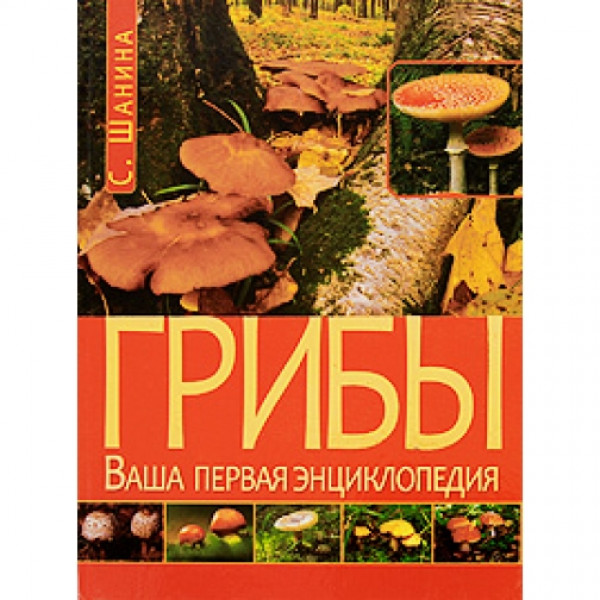 Грибы.Ваша первая энциклопедия Шанина