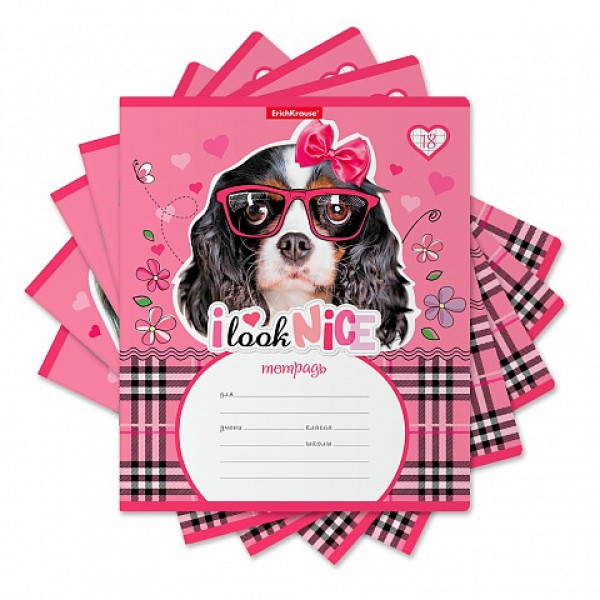 Тетрадь 18л линия ERICH KRAUSE 45091 Clever Dog 10шт/уп