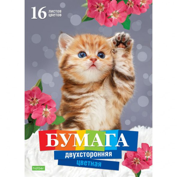 Цветная бумага двустор 16л 16цв HATBER ECO 16Бц4_20982 Котенок обл мелов картон