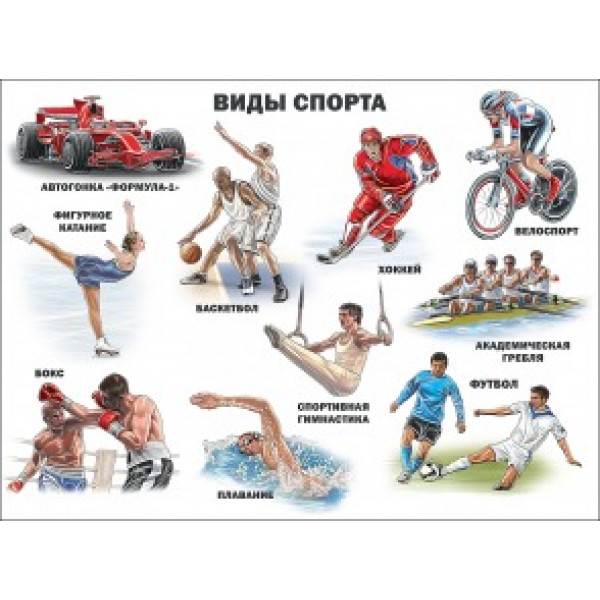 Плакат А2 Проф-Пресс Виды спорта