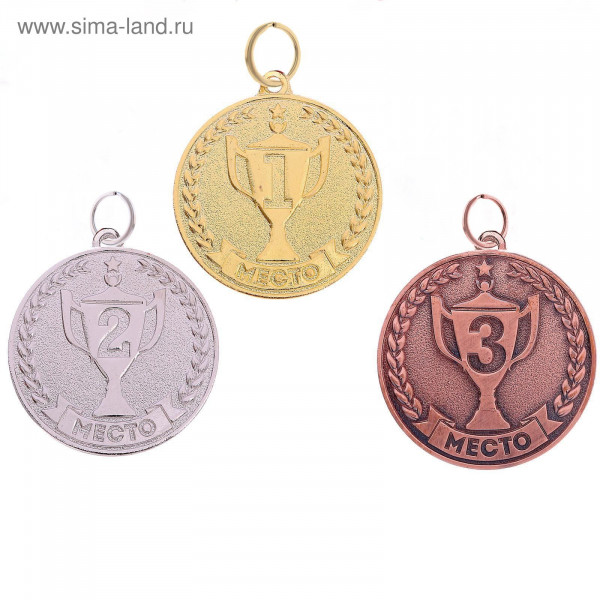 Медаль металл 2 место 1887535 серебро