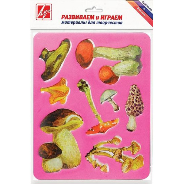 Трафарет-раскраска ЛУЧ 9С 450-08 Грибы