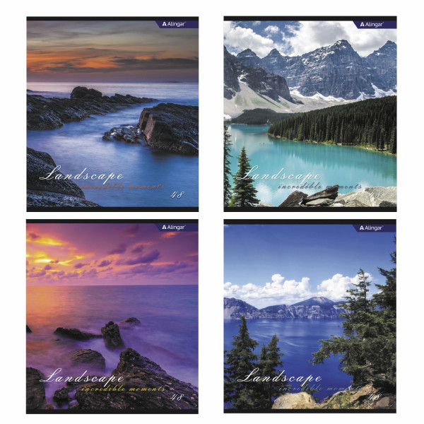Тетрадь 48л ALINGAR AL-10376 Горные красоты 4 дизайна