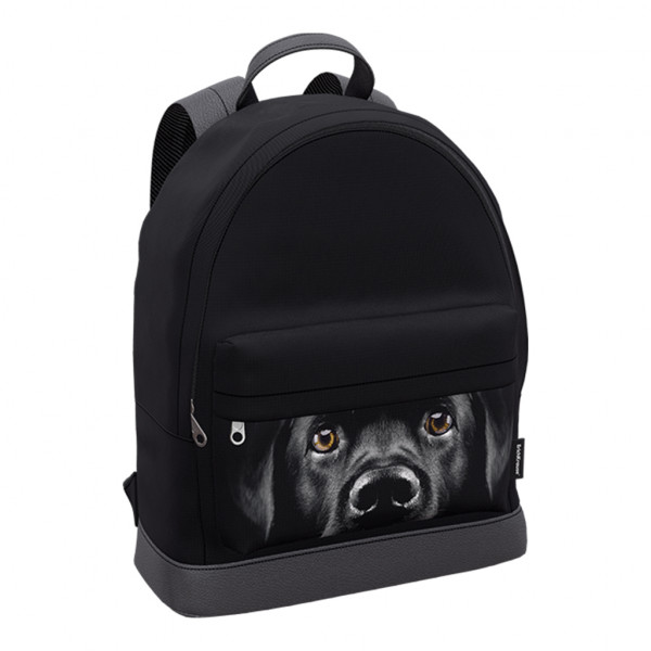 Рюкзак 17л ERICH KRAUSE StreetLine 60349 Black Dog