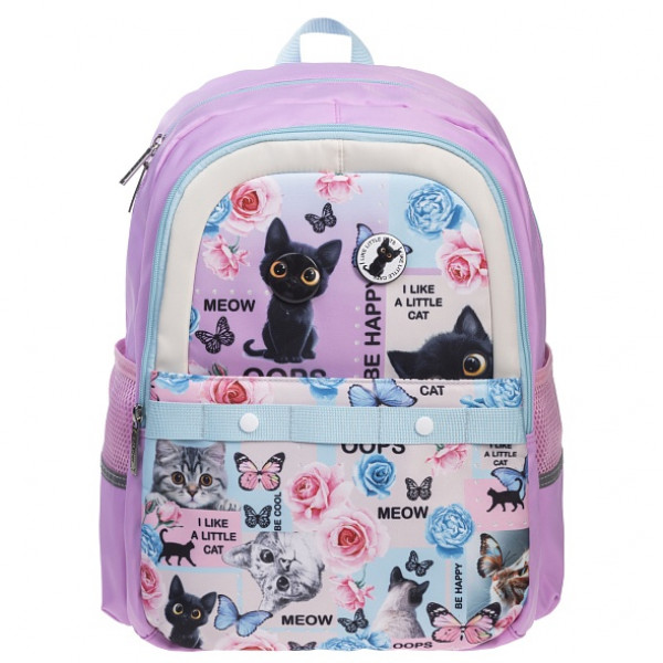 Рюкзак 2отд HATBER NRk_22043 Модная школа Cat day
