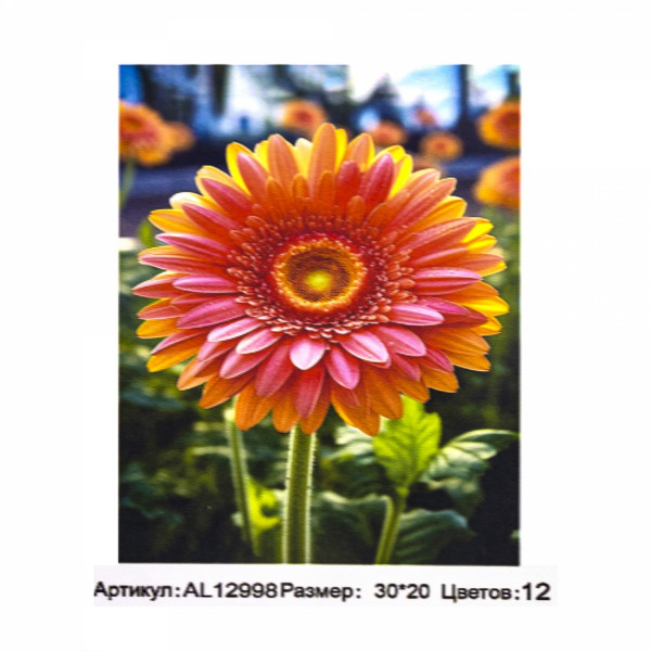 Живопись по номерам 20*30 ALINGAR AL-12998 Гербера