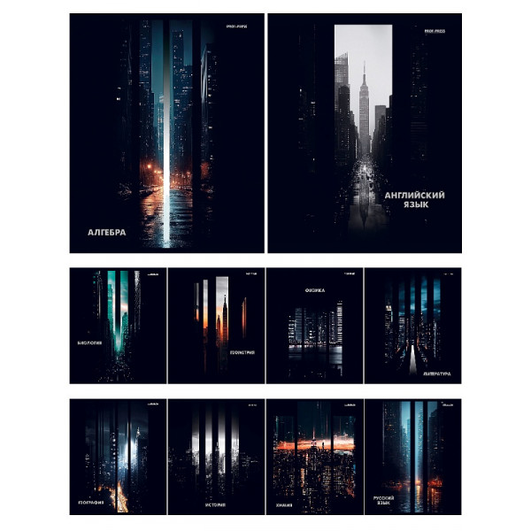 Комплект предмет тетрадей 48л 10шт Проф-Пресс 48-4413 DARK CITY