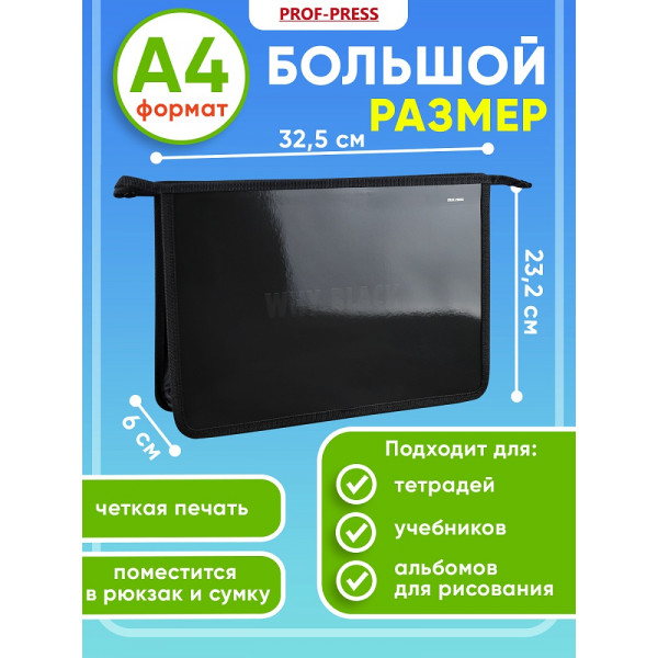 Папка для тетрадей А4 Проф-Пресс ПТР-3036 NO WHITE