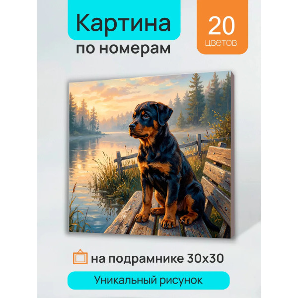 Холст по номерам 30*30 Рыжий кот ХК-7326 Ротвейлер на закате