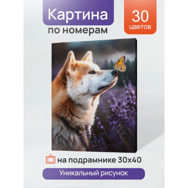 Холст по номерам 30*40 Рыжий кот ХК-7345 Бабочка и акита