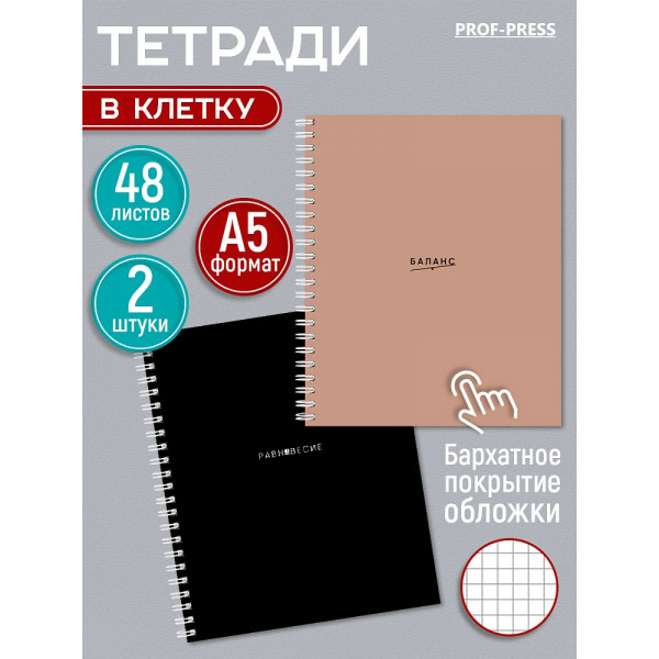 Тетрадь 48л Проф-Пресс Т48-5363 ЦВЕТ И МИНИМАЛИЗМ - 2 софт-тач