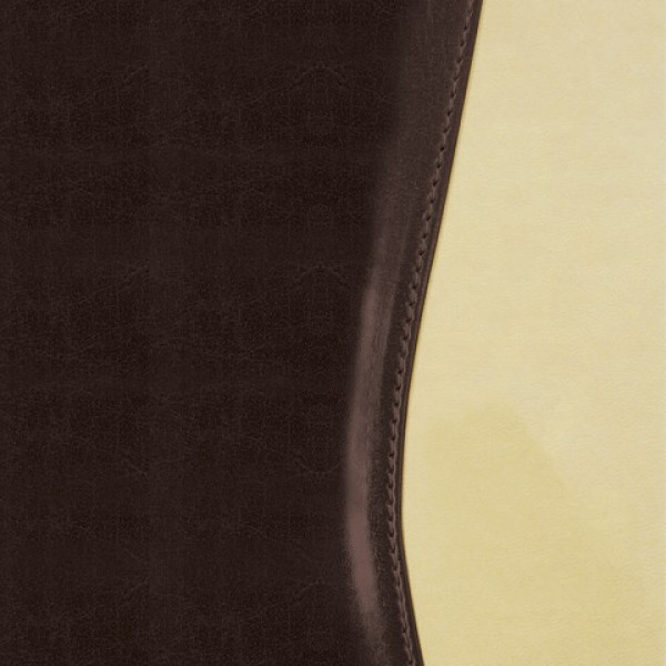 Ежедневник BRAUBERG недатированный, А5, 138х213 мм, "De Luxe", под комбинированную кожу, 160 л., коричневый/бежевый, золотой срез, 123403