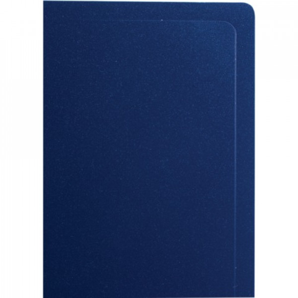 Папка 10 файлов STAFF, синяя, 0,5 мм, 225688